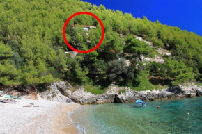 Secluded fisherman's cottage Cove Bratinja Luka, Korcula - 9224